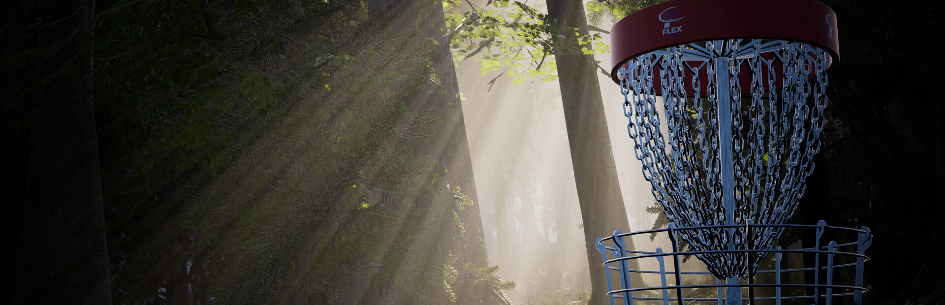 FLEX Disc Golf