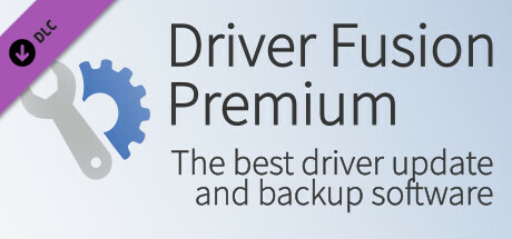 Driver Fusion Premium - 2 Year cover art