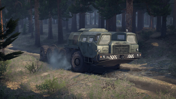 Can i run SPINTIRES