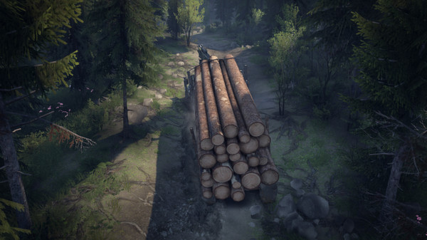 SPINTIRES™