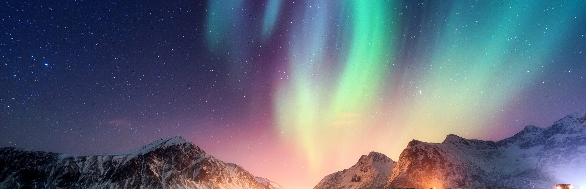 Photography Simulator Wildlife Prologue