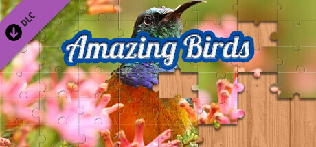 House of Jigsaw: Amazing Birds cover art