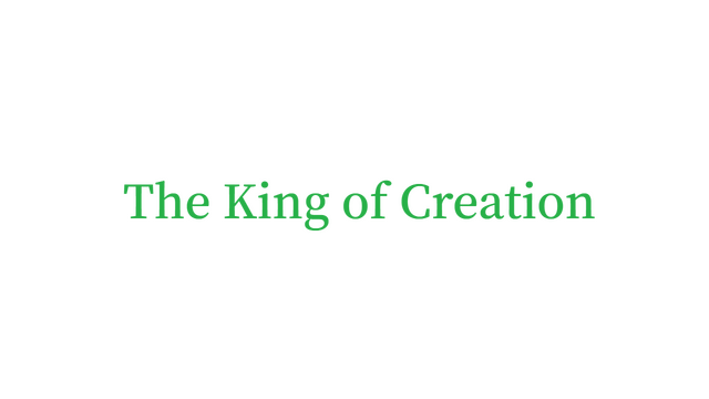 The King of Creation Logo