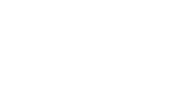 NaissanceE Logo
