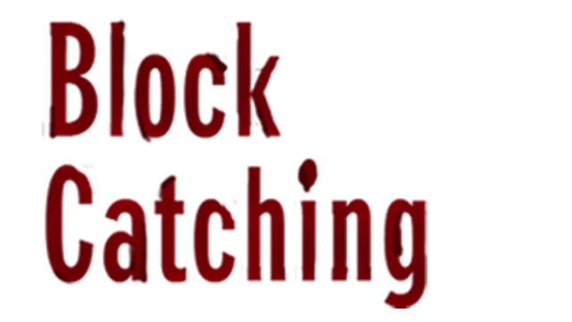 Block Catching Logo