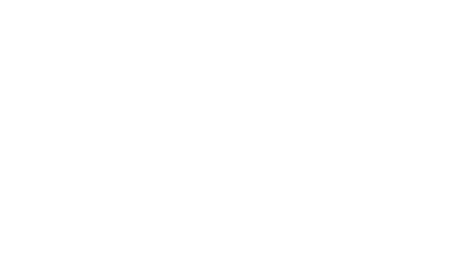 Space Frontier Logo