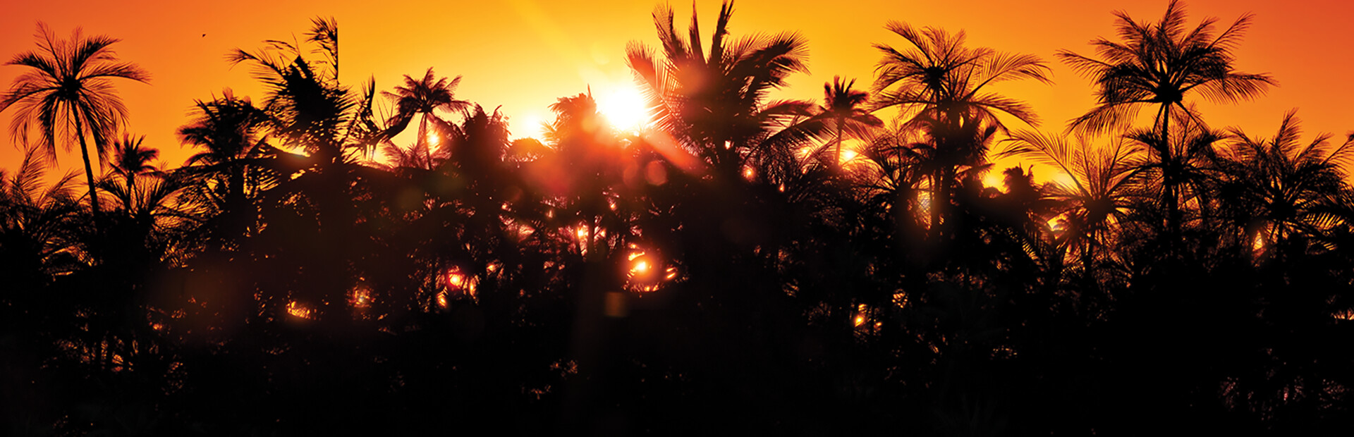 Jurassic Park Classic Games Collection