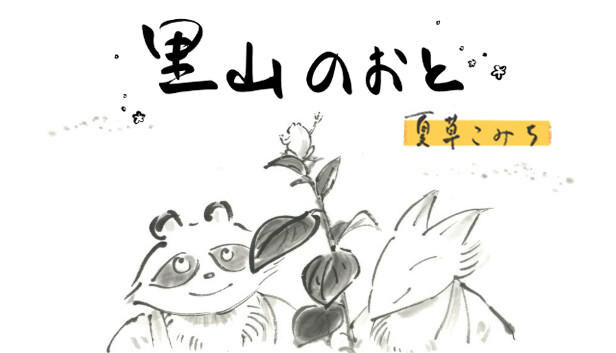 里山のおと 夏草こみち