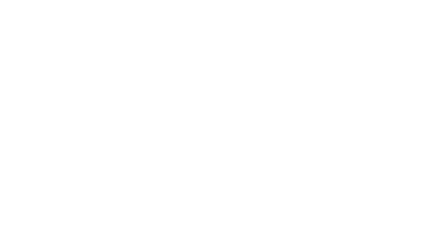 Flying Pigs Logo