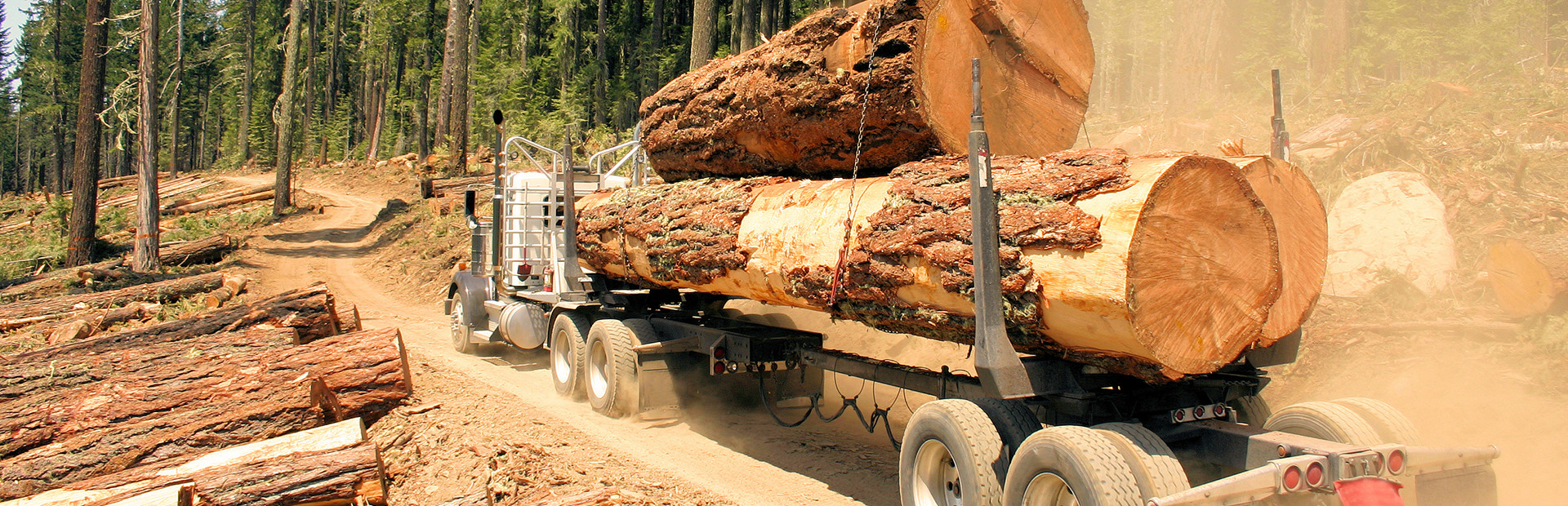 Woodcutter Simulator 2013