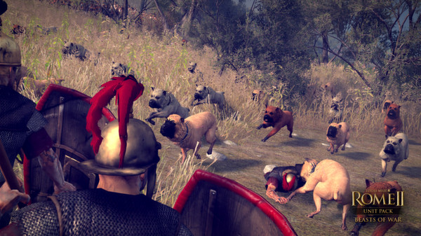 Скриншот из Total War: ROME II - Beasts of War