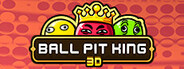 BALL PIT KING 3D
