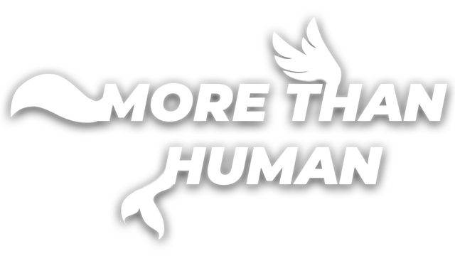 More Than Human Logo