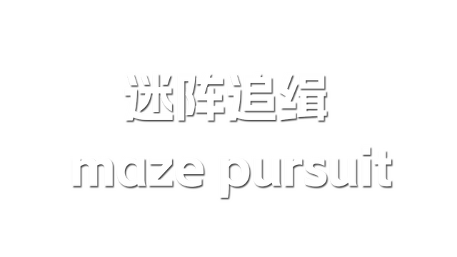 Maze pursuit Logo