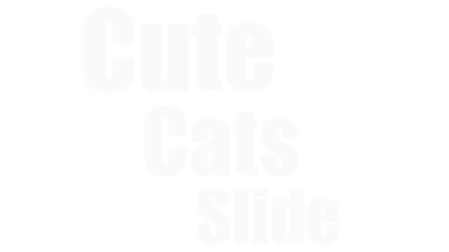 Cute Cats Slide Logo
