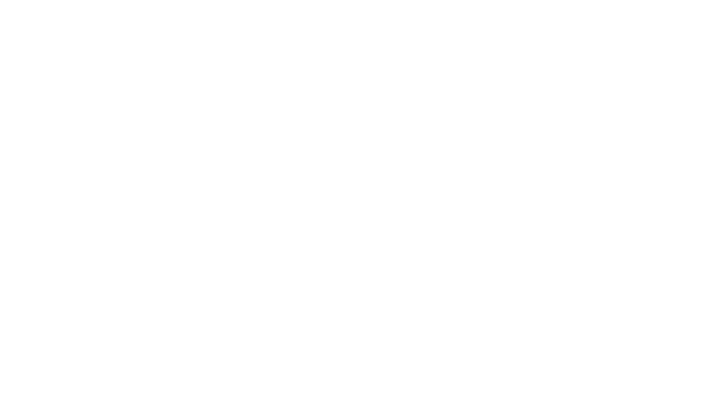 Stoneguard Logo
