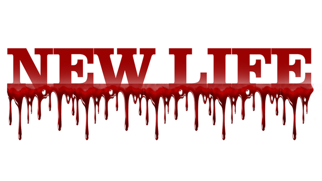 New Life: SILENT RIVER Logo