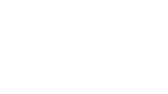 Dash & Roll Logo