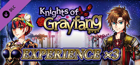 Experience x3 - Knights of Grayfang cover art