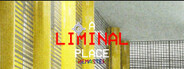A Liminal Place System Requirements