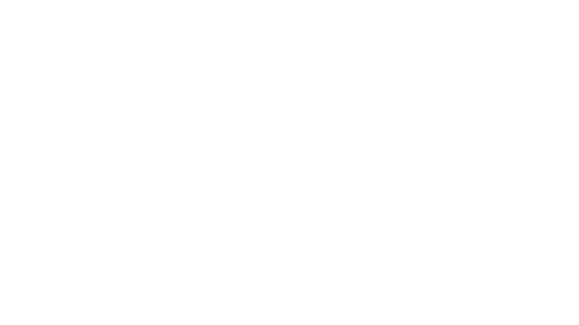 SEEKBOSS Logo