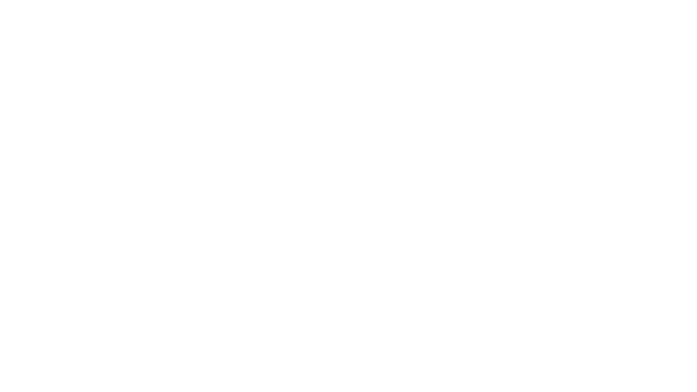 Supa Fly Racing Logo