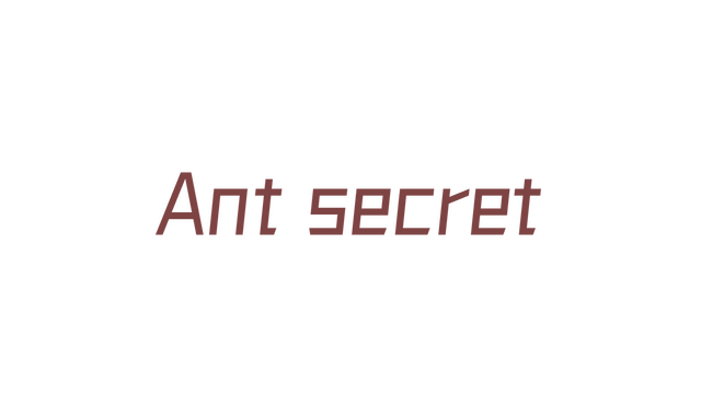 Ant secret Logo