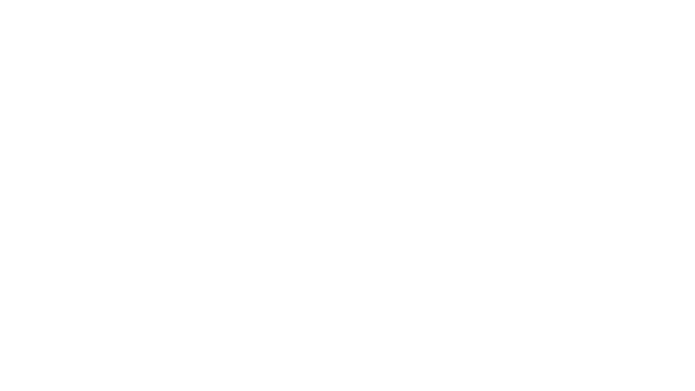 LISA: The First Logo