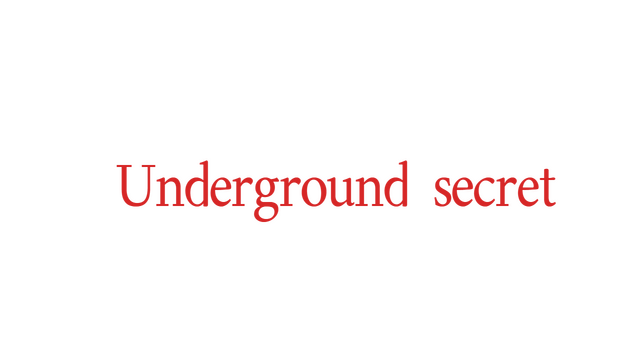 Underground secret Logo