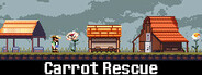 Carrot Rescue System Requirements