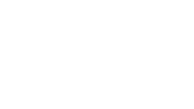 Ray Logo
