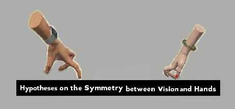 Hypotheses on the Symmetry between Vision and Hands PC Specs