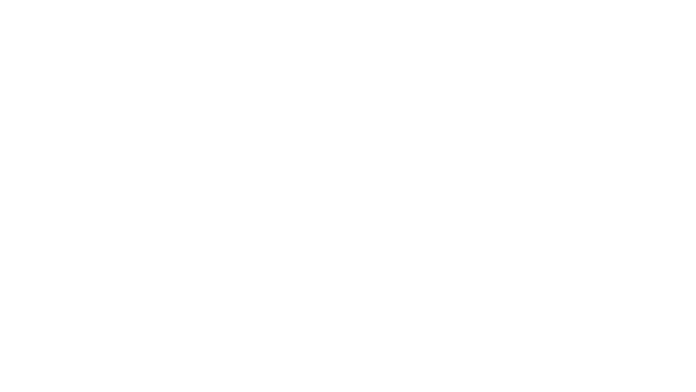 Starlight Scouts Logo