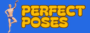 Perfect Poses System Requirements
