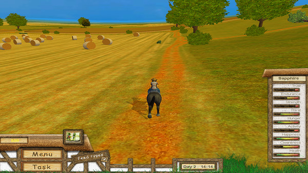 Скриншот из My Riding Stables