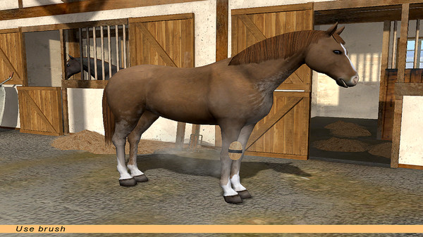 Riding Star - Horse Championship! screenshot