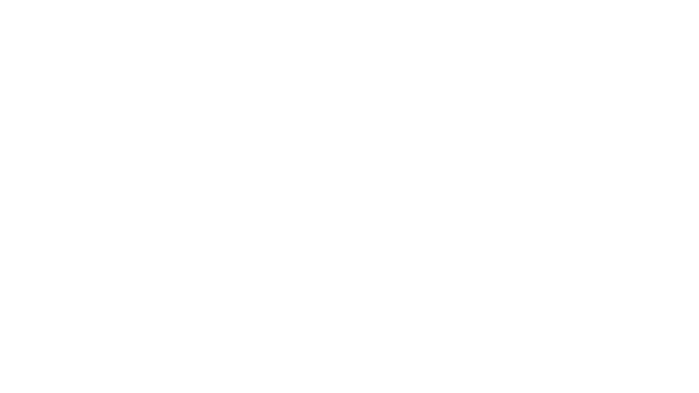 Lightspeed Logo