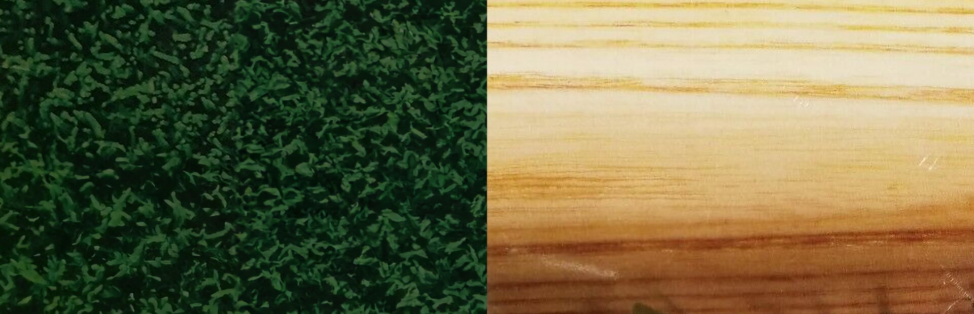 HardBall! + HardBall II