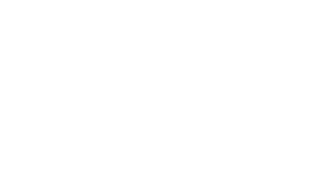Baggage Inspector Logo