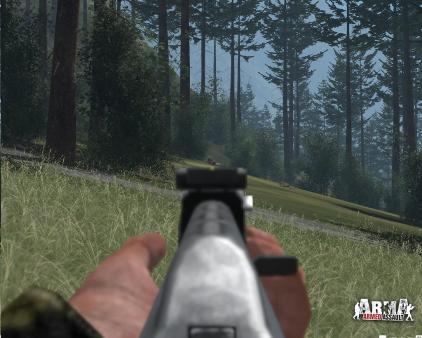 Скриншот из Arma: Combat Operations