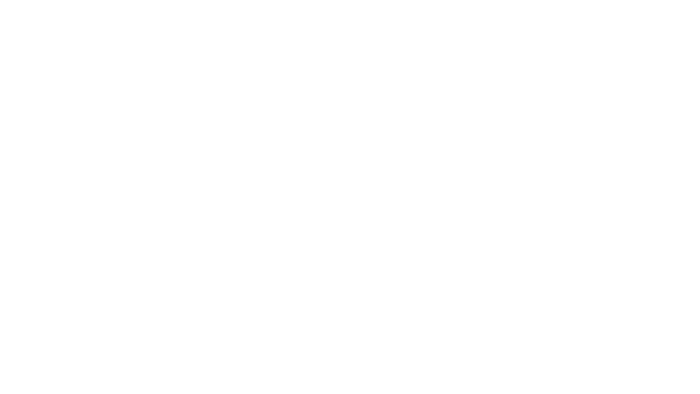 Night Run Logo