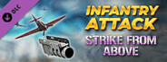 Infantry Attack: Strike from Above