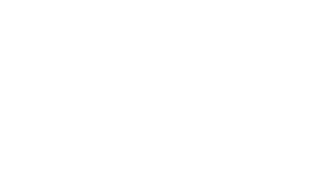Space Survivor Logo