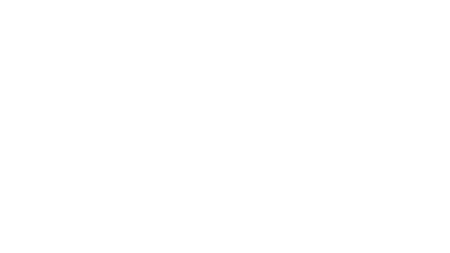 Director Simulator Logo