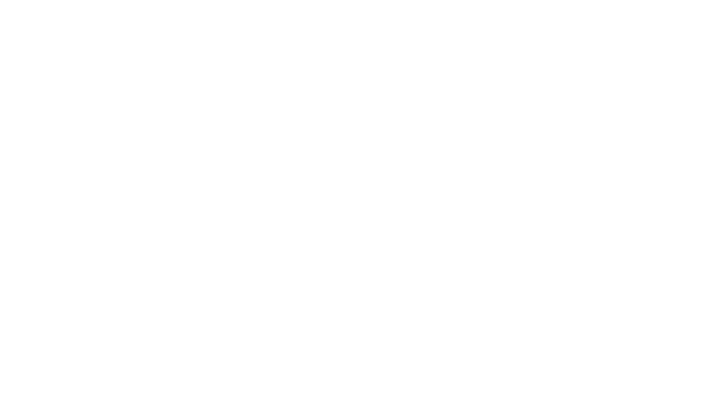 Project Windfall Logo