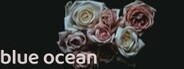 blue ocean System Requirements