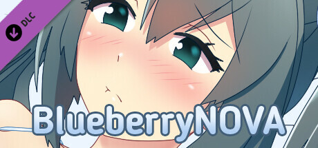 BlueberryNOVA – Artbook cover art