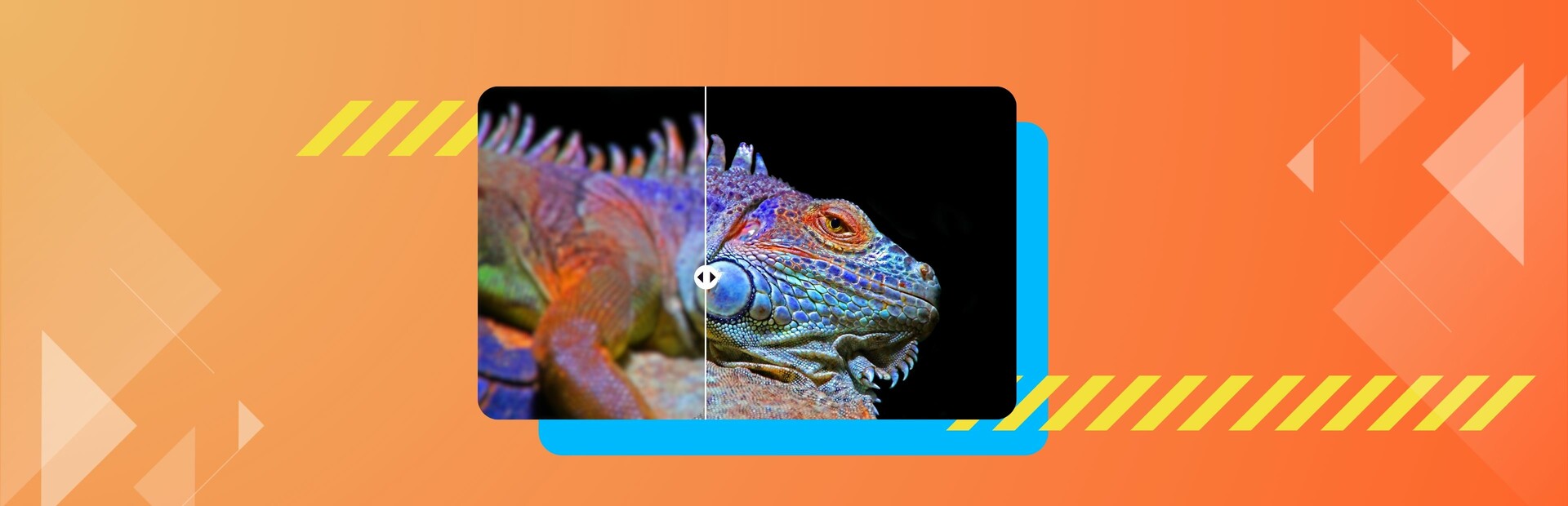 Nero AI Image Upscaler Pro 2025