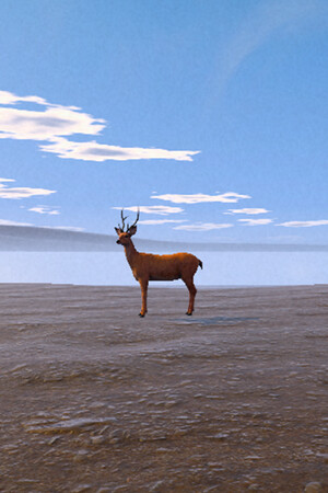 Live Cam Simulator.