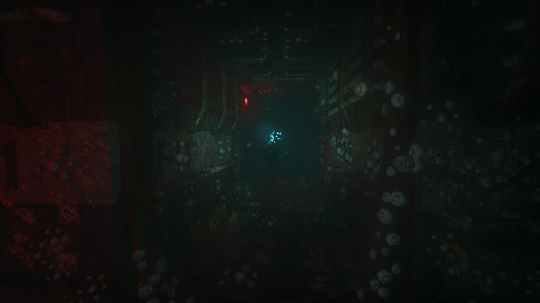 SOMA image